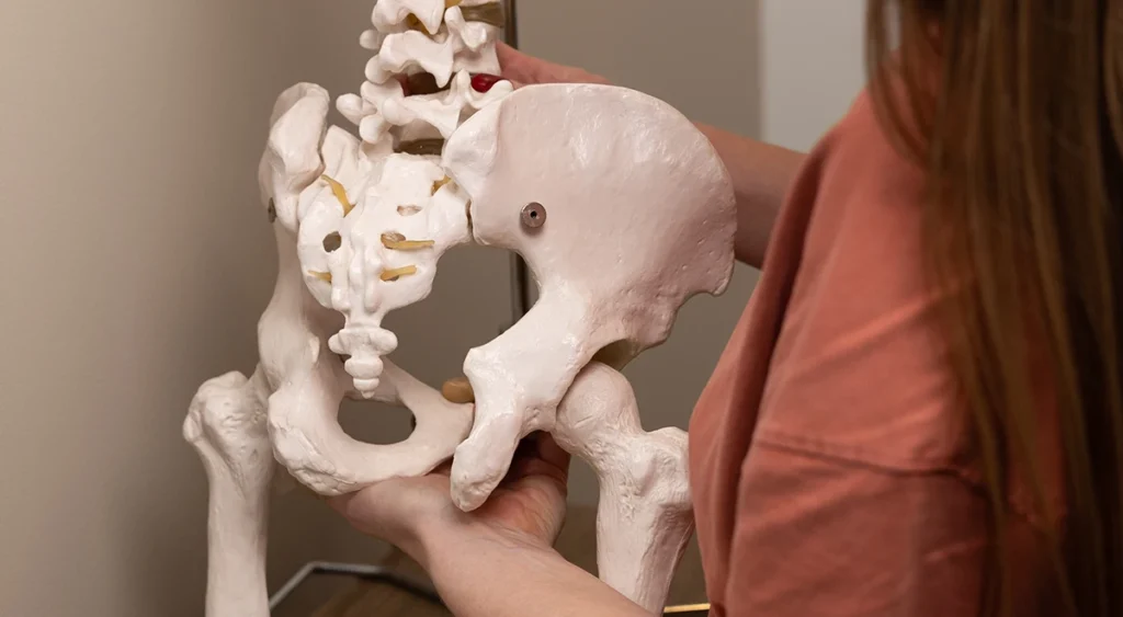 omt-fysioterapia 2